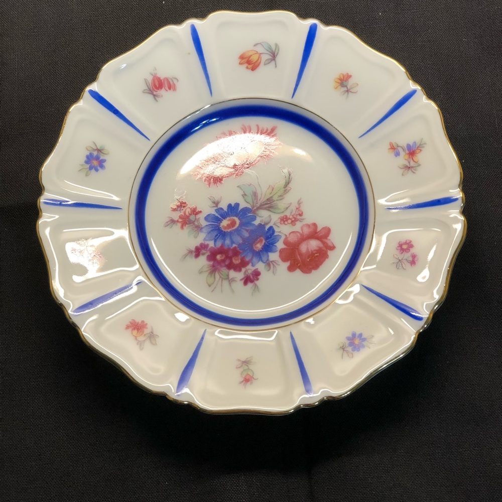 Beautiful Vintage Porcelain Schwarzenhammer Flora Plate